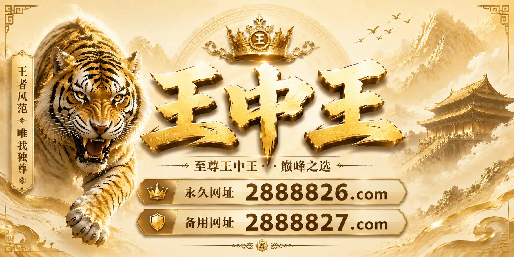 公告图片
